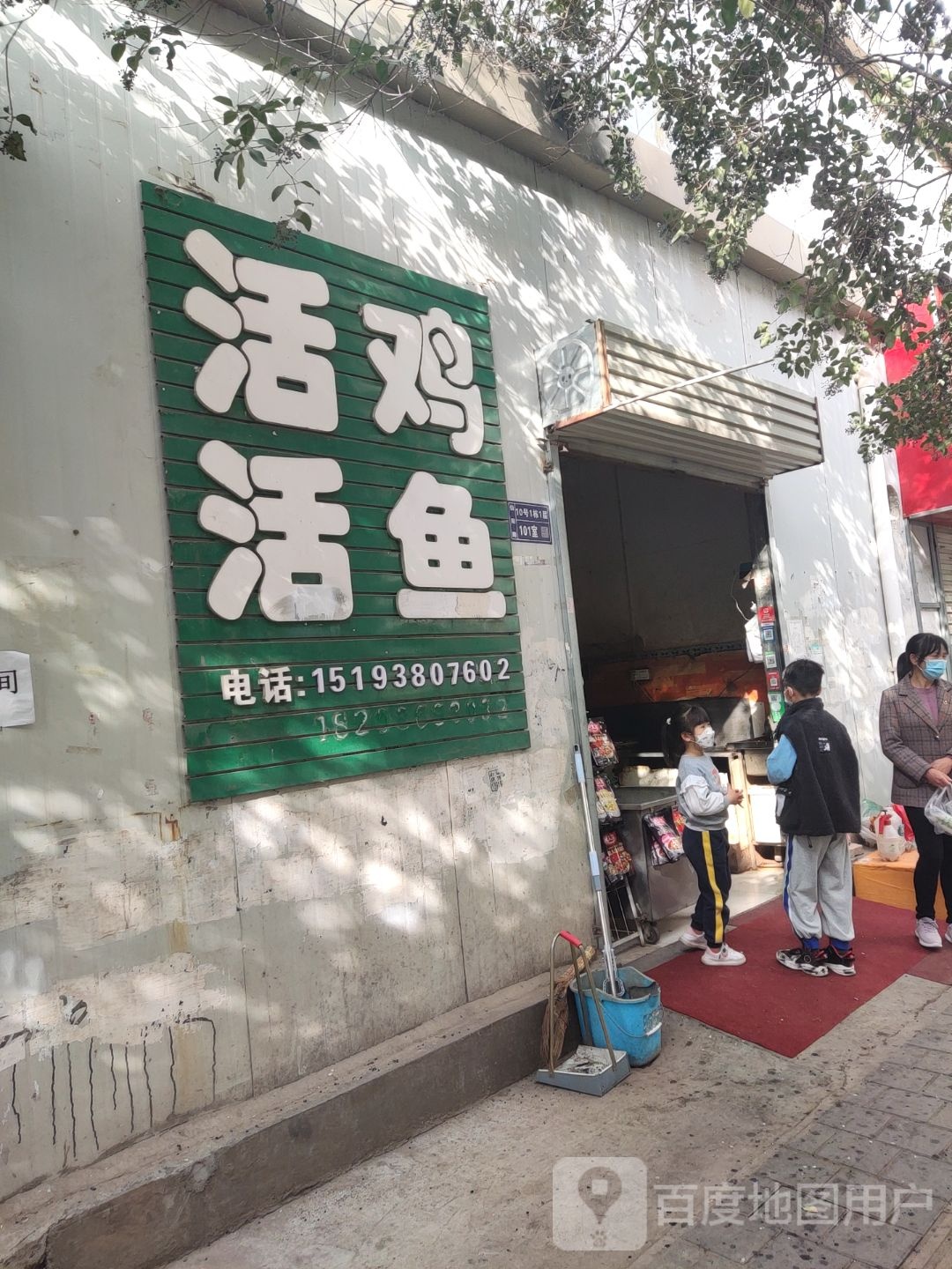 活鸡活鱼(伯阳中路店)