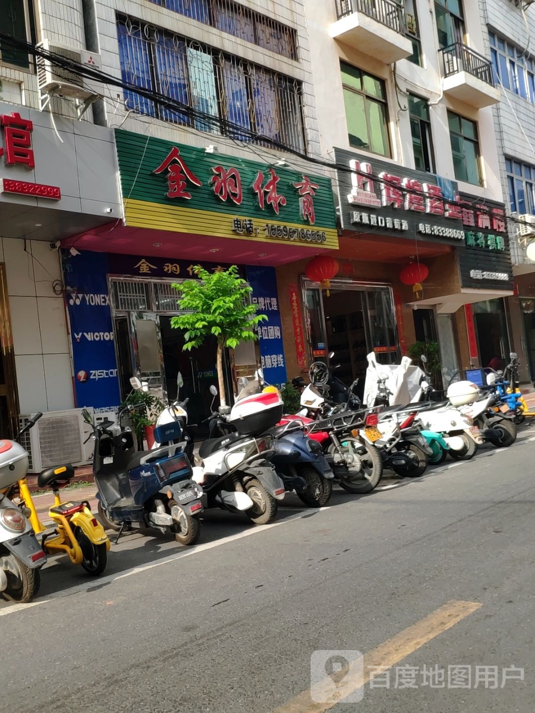 金羽体育