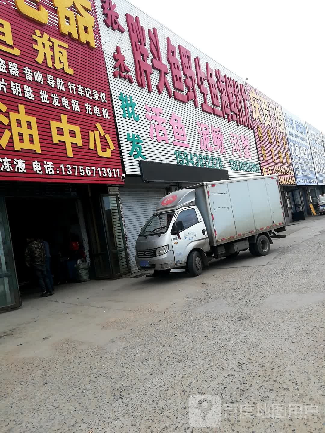 张杰胖头鱼野生鱼海鲜批发