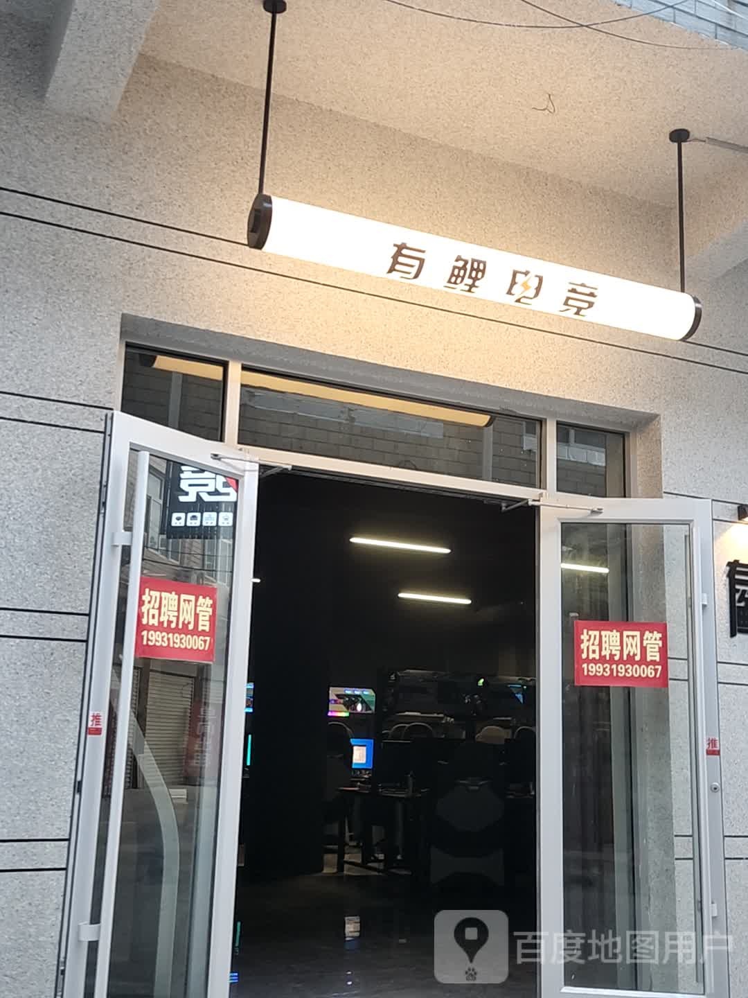 有鲤电竞