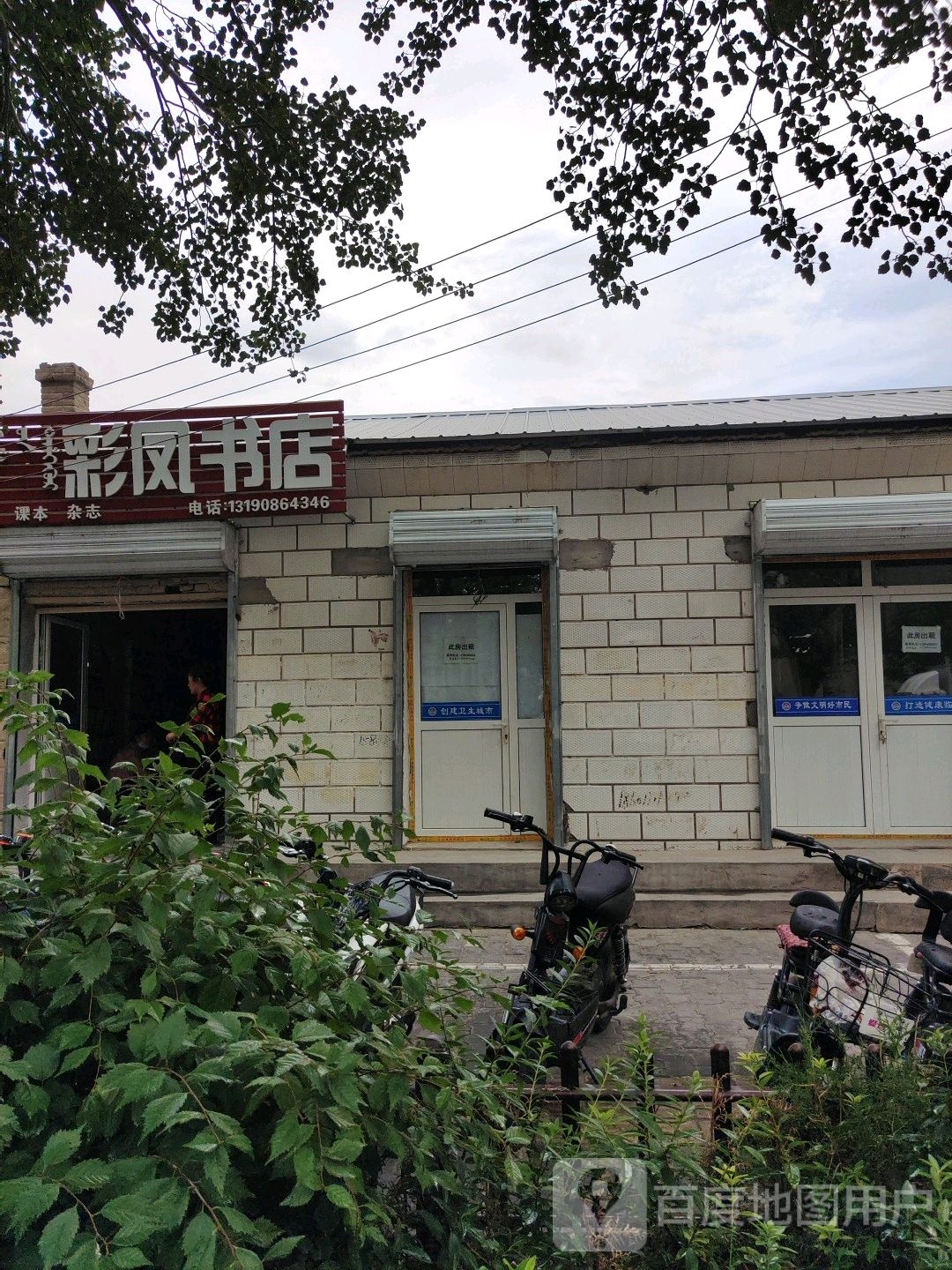 彩凤书店