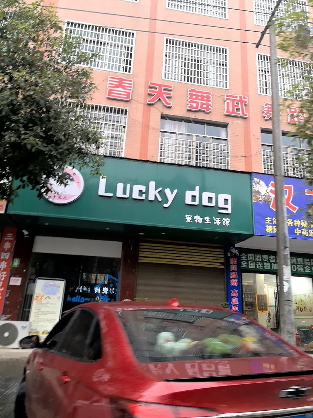 Lucky dog宠物生活馆