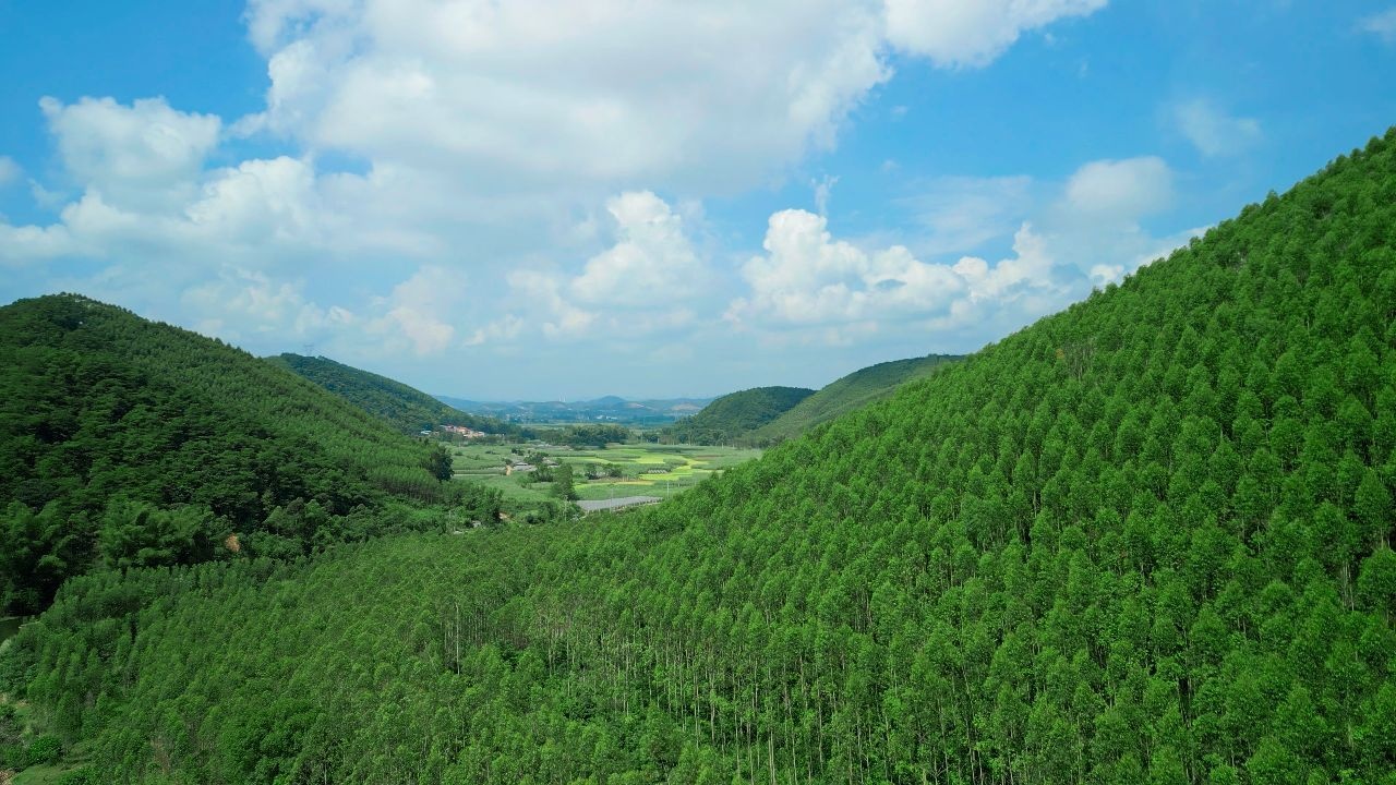 青龙江水库