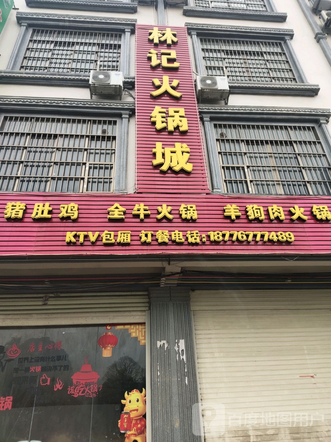 猪肚鸡全牛活过