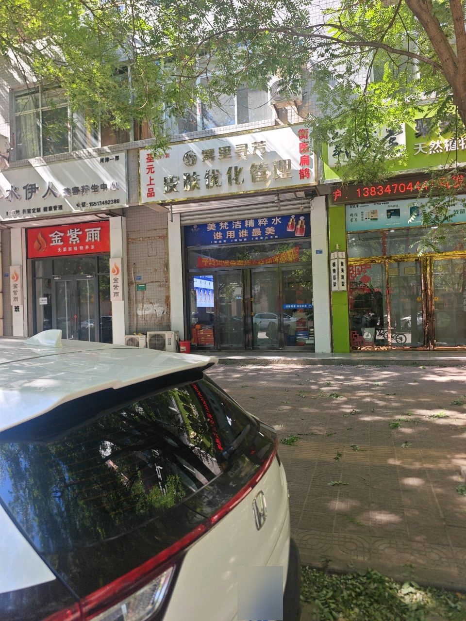 雾里导芳皮肤优化管理