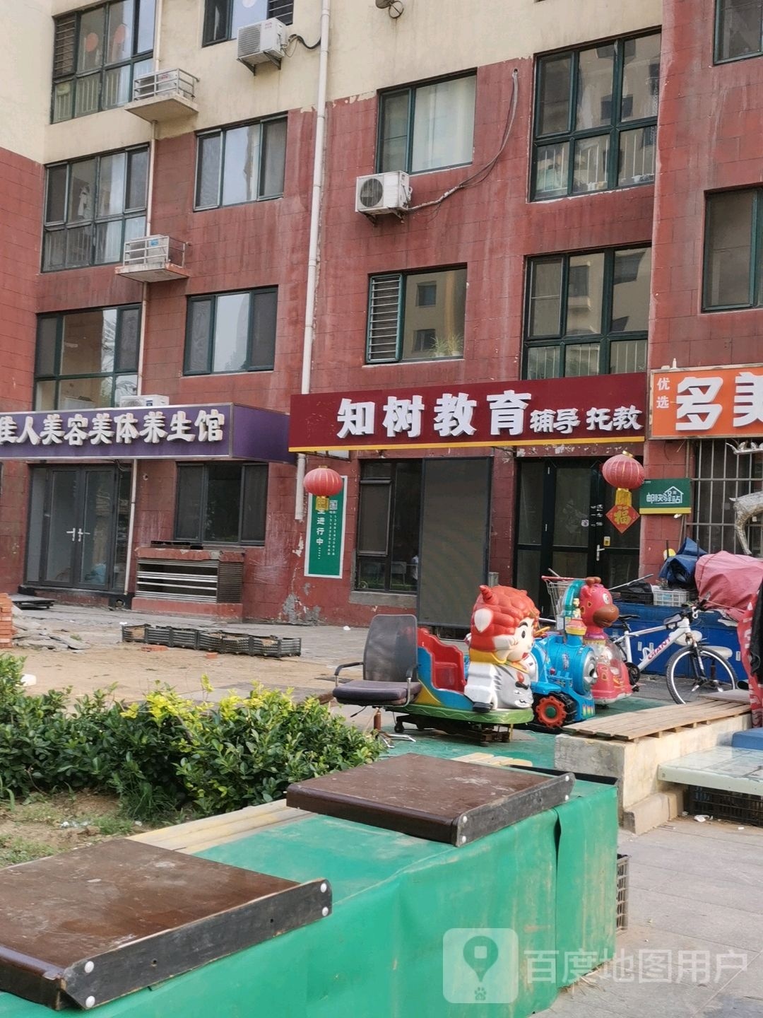 知树教育