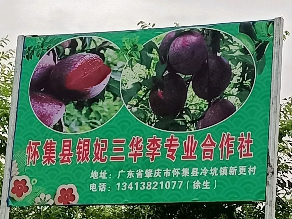 广东省肇庆市怀集县冷坑镇水口村委新更村