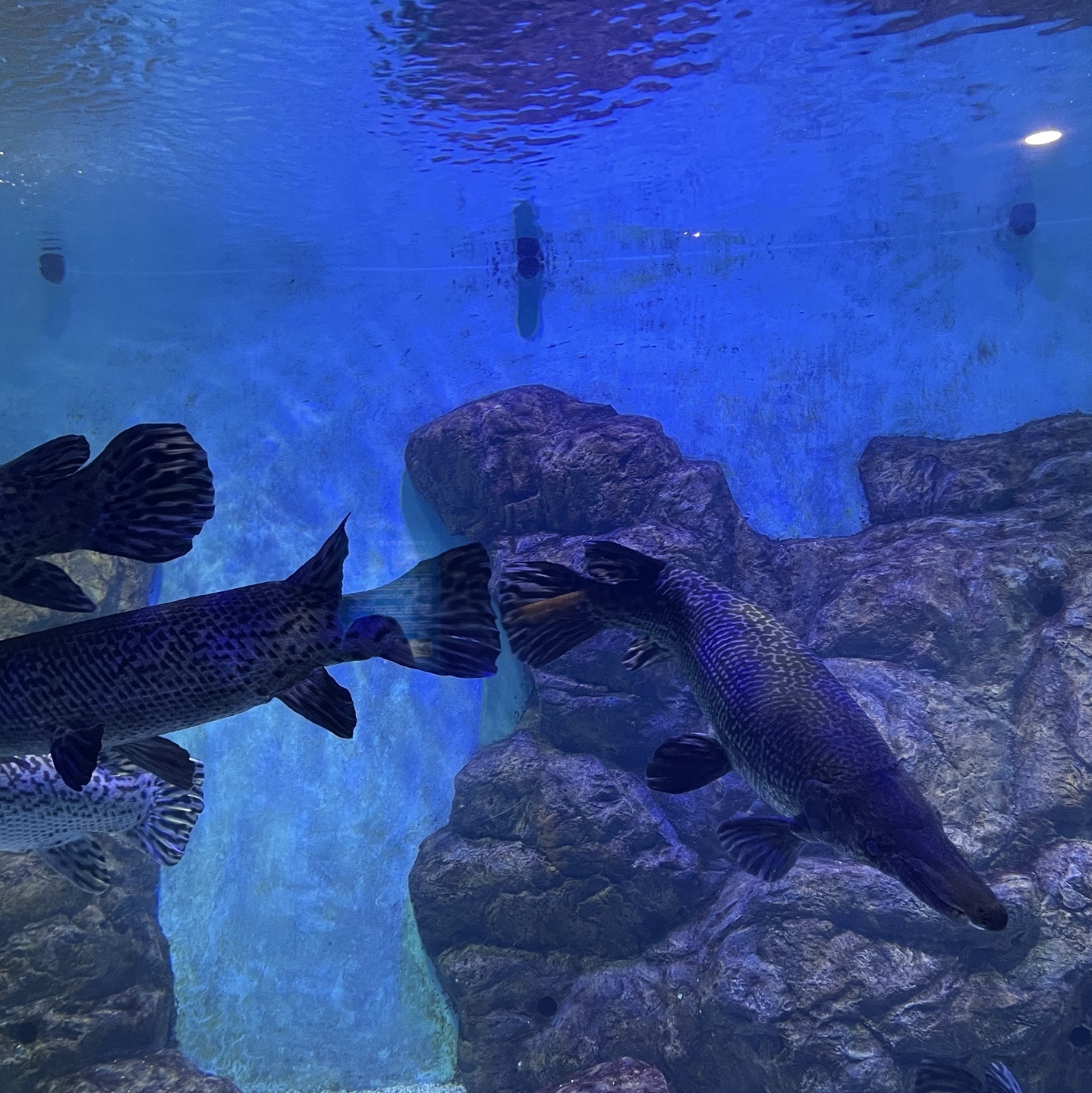 极地海洋馆