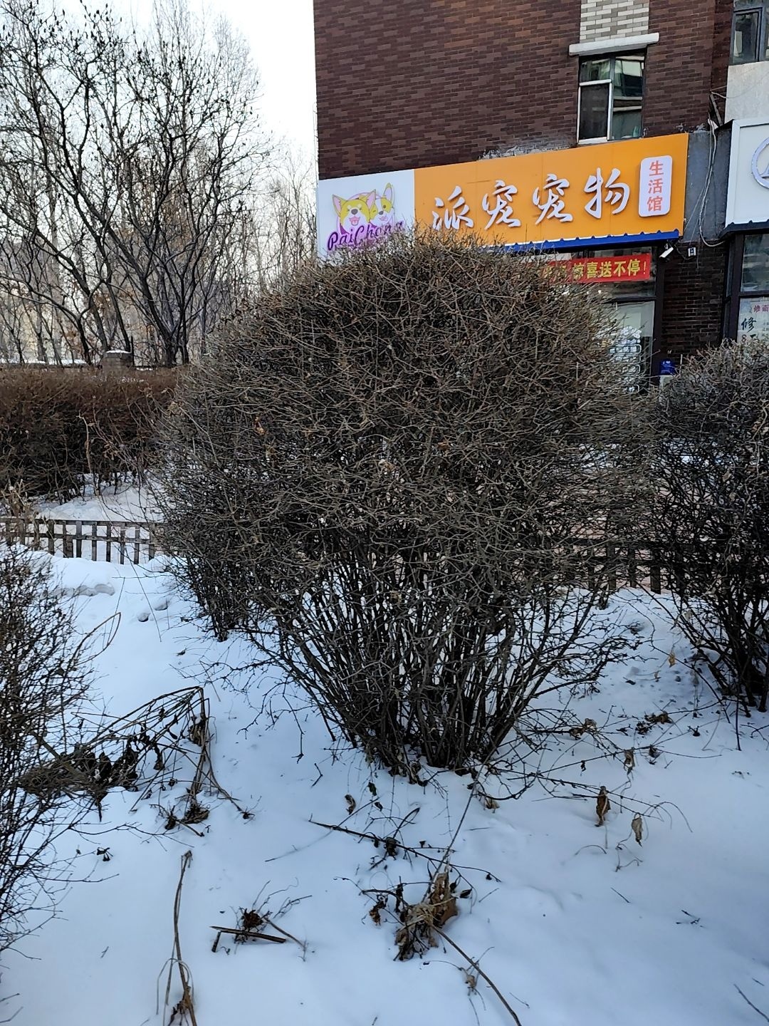 派宠宠物生活馆
