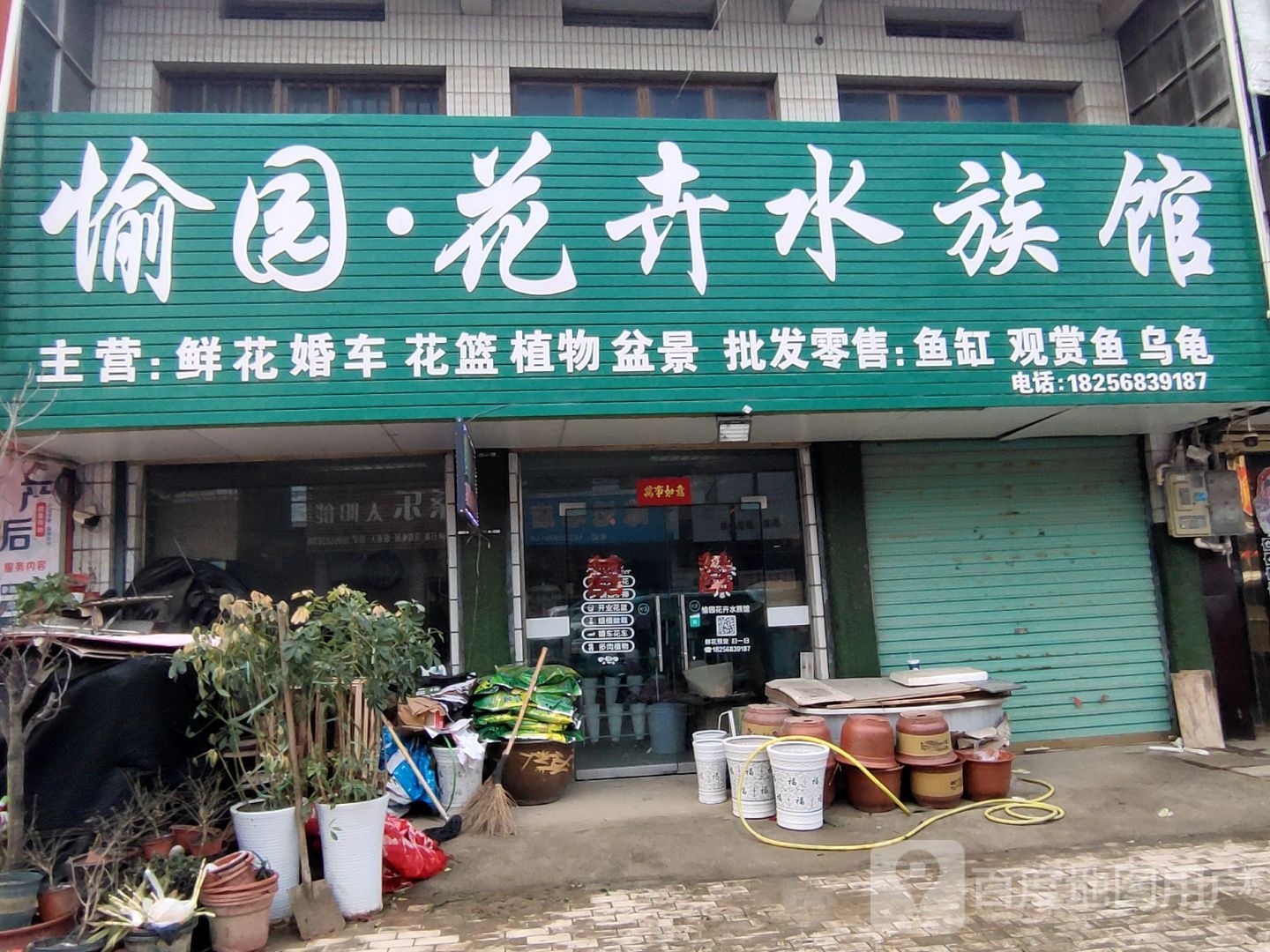 云苑花卉水族馆
