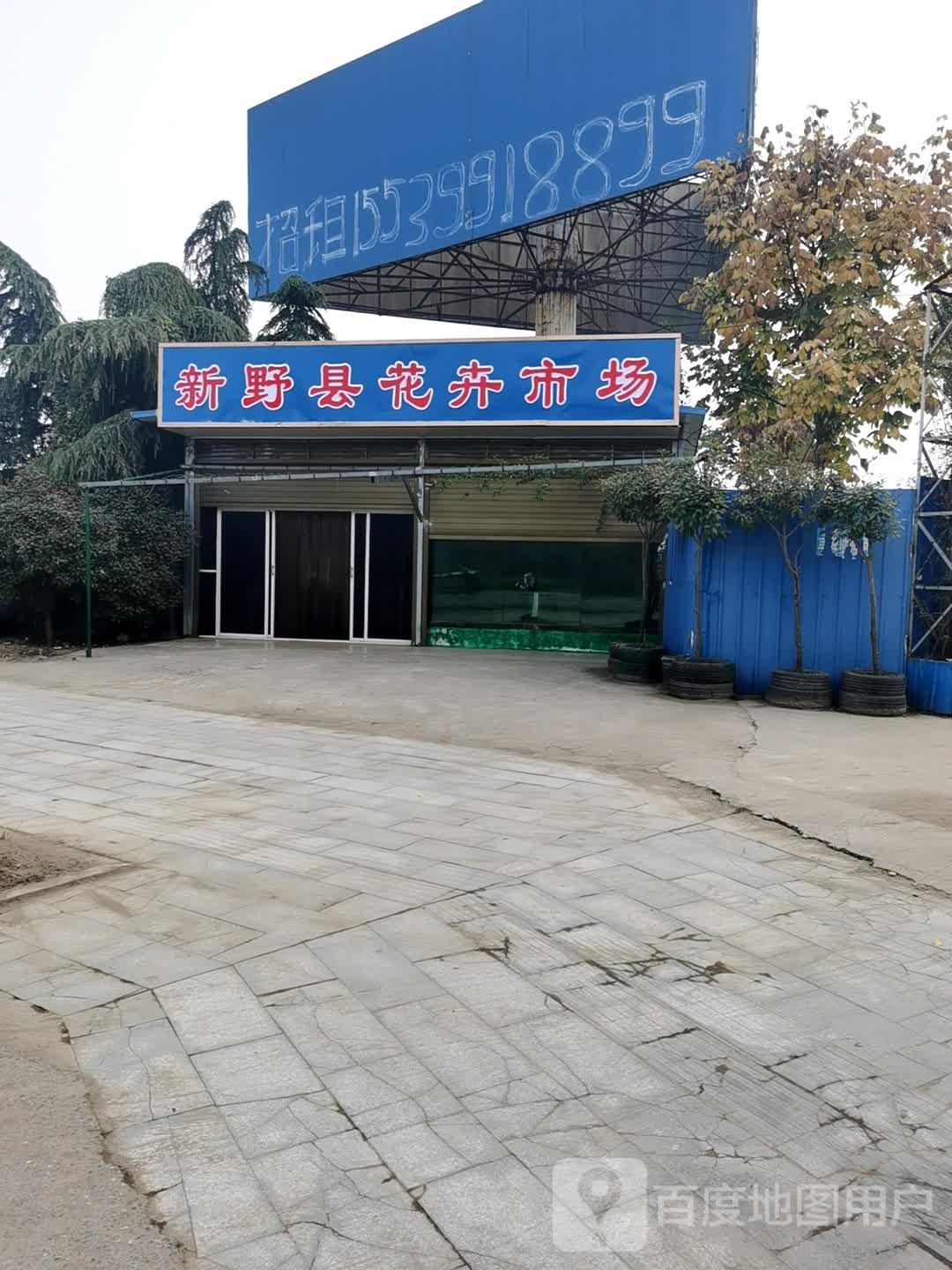新野县花卉销售