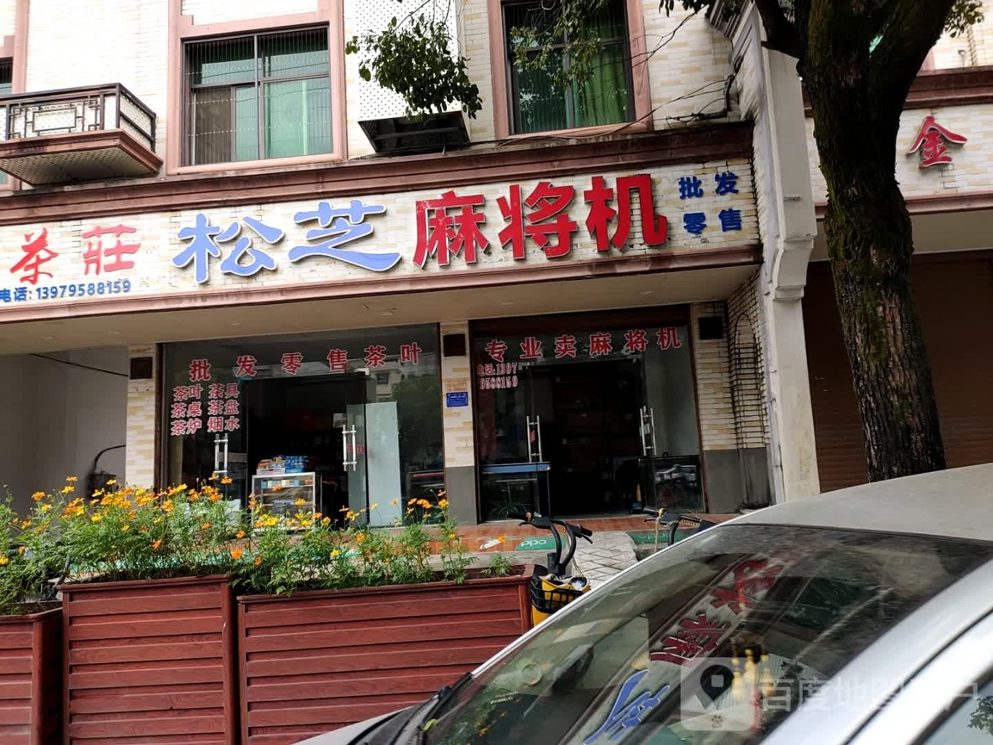 松芝麻将机(轩明茶庄)