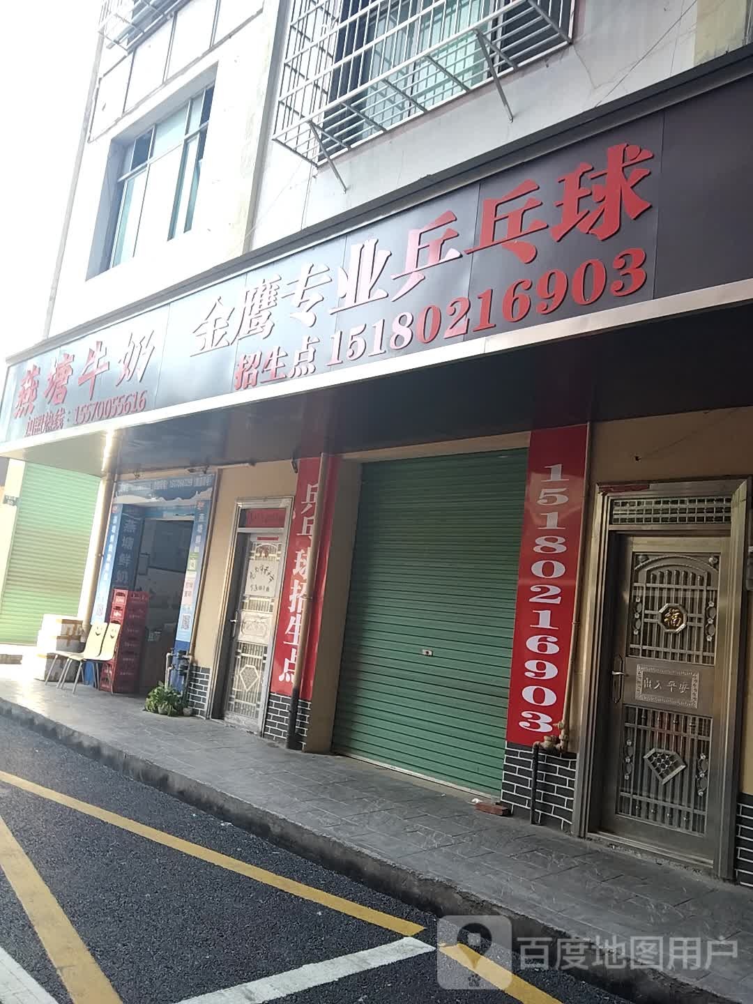精英专业乒乓球