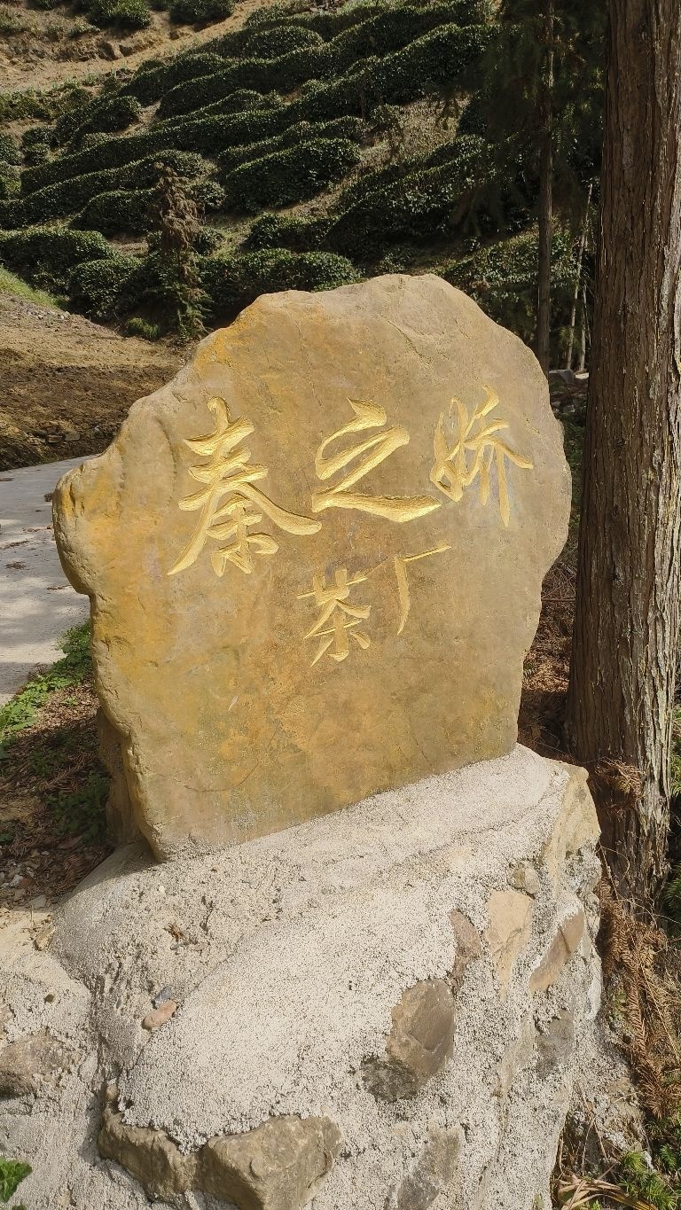 秦之娇茶业茶店镇分店