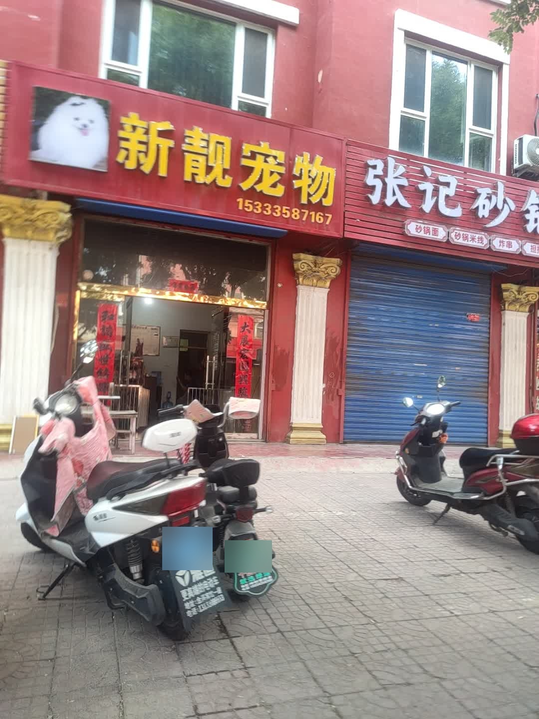 新靓宠物生活馆(青年路店)