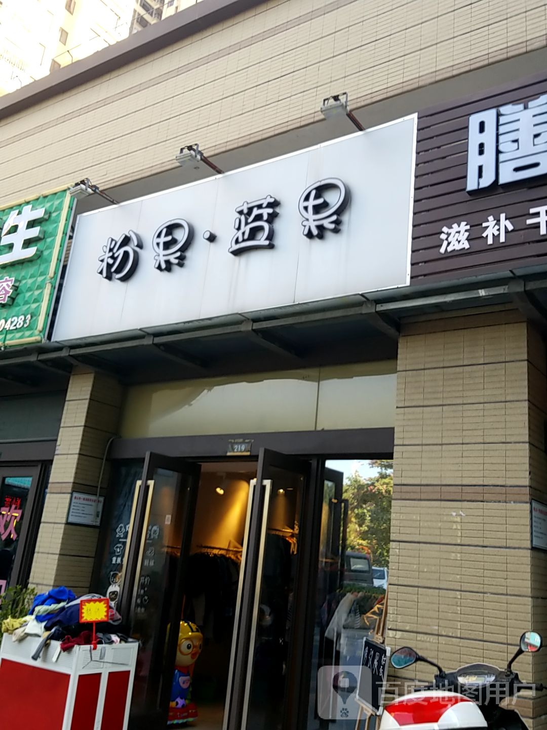 粉果蓝果
