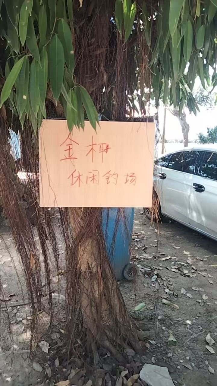 金椰休闲钓场