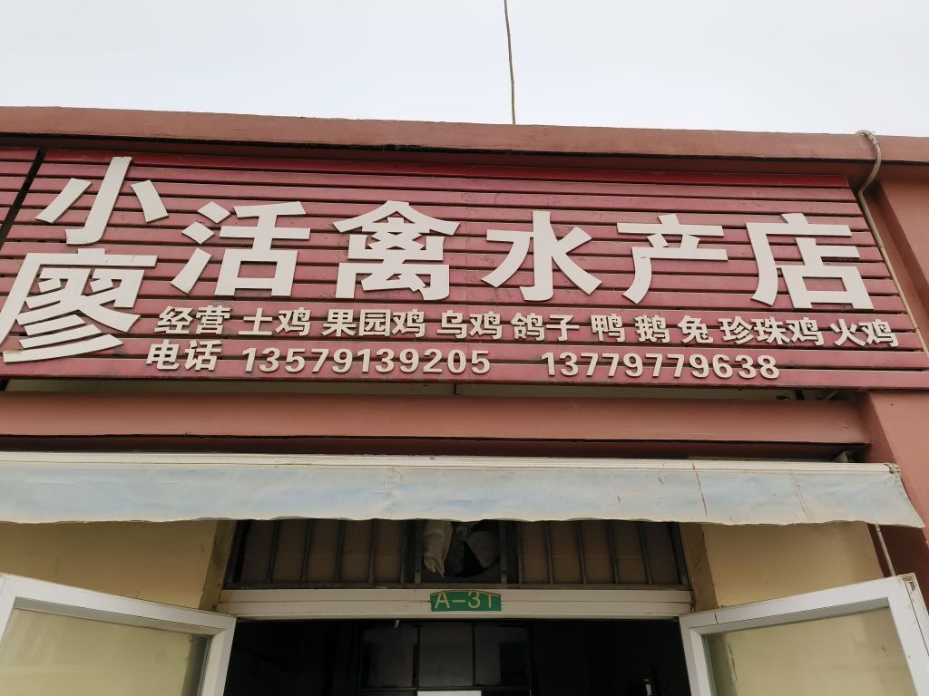 小廖活禽水产店