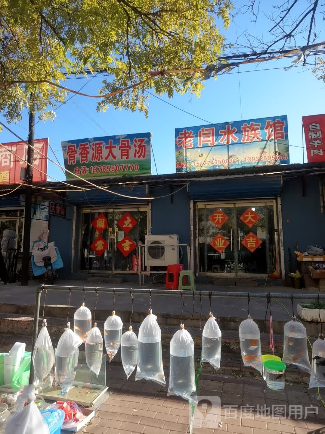 老闫水族馆