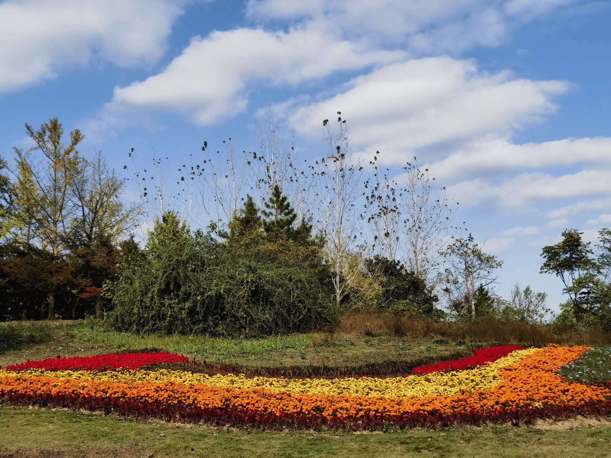 古淮河文化生态景区