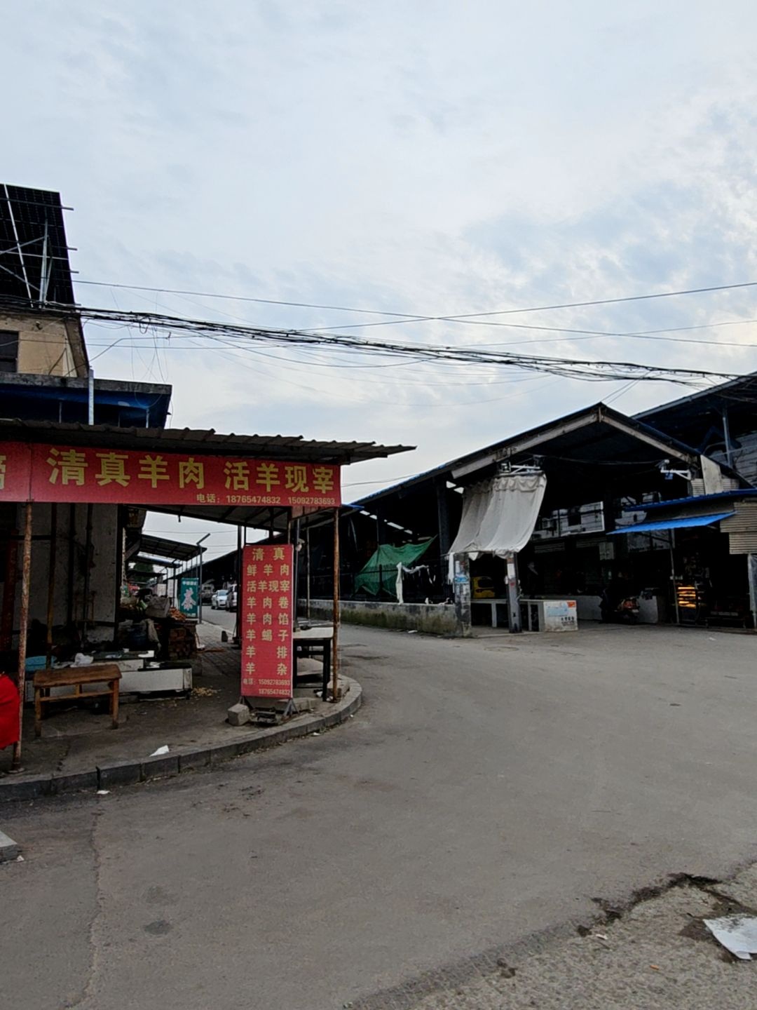 清真羊肉活羊现宰