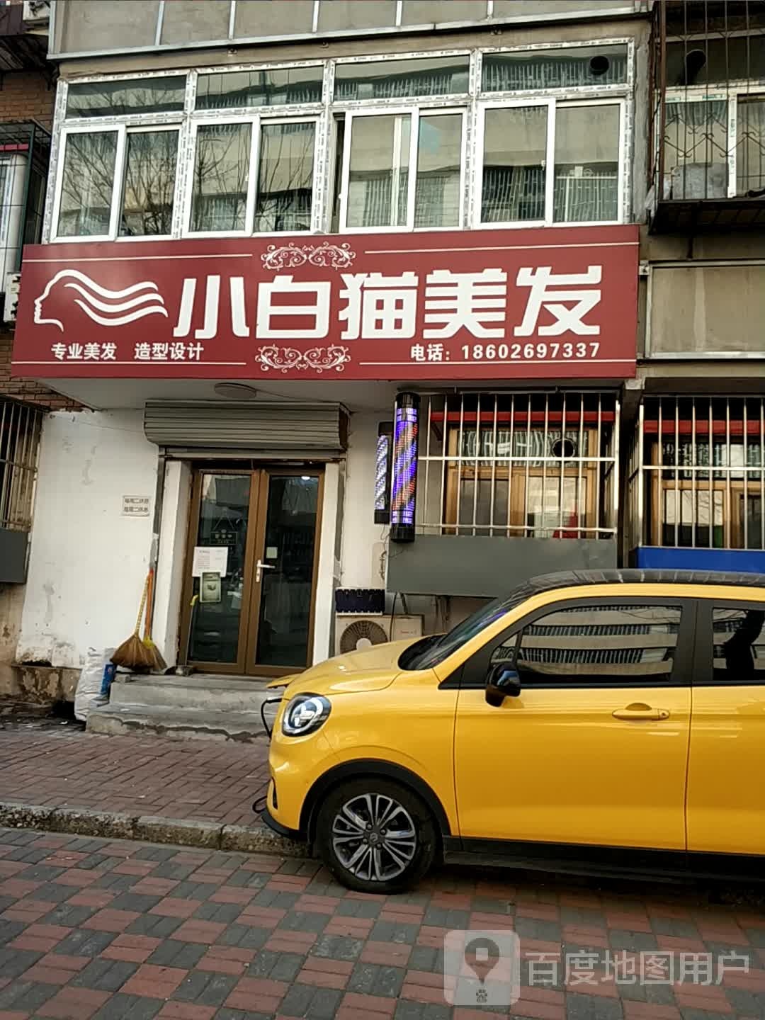 小白猫专业没发造型设计(绥中楼小区店)