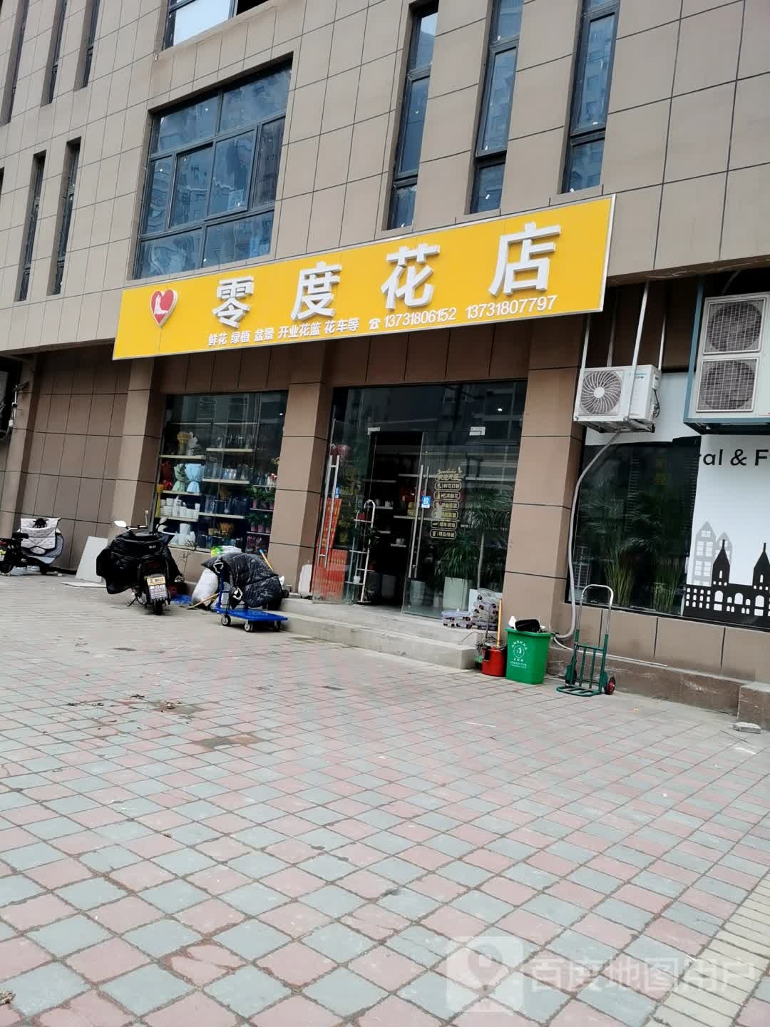 零度花店(涡阳县中心店)