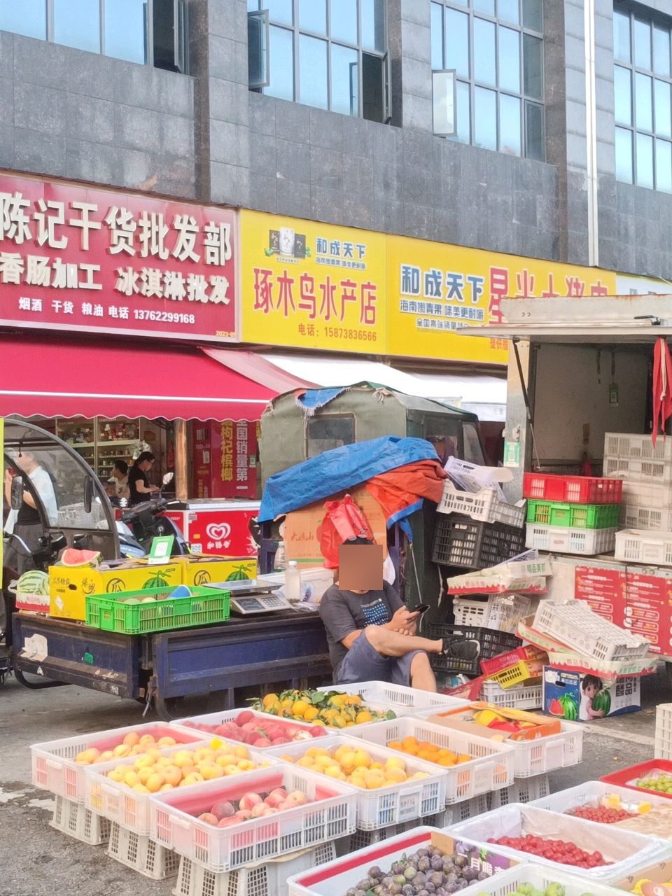 啄木鸟水产店