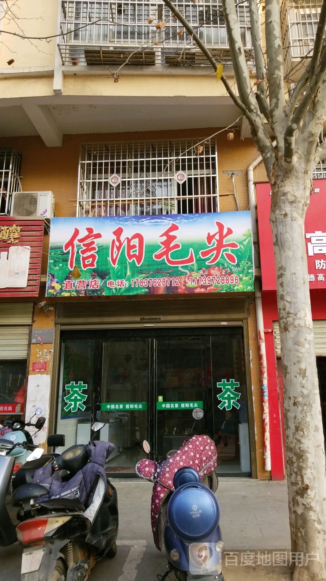 息县信阳毛尖(南大街店)