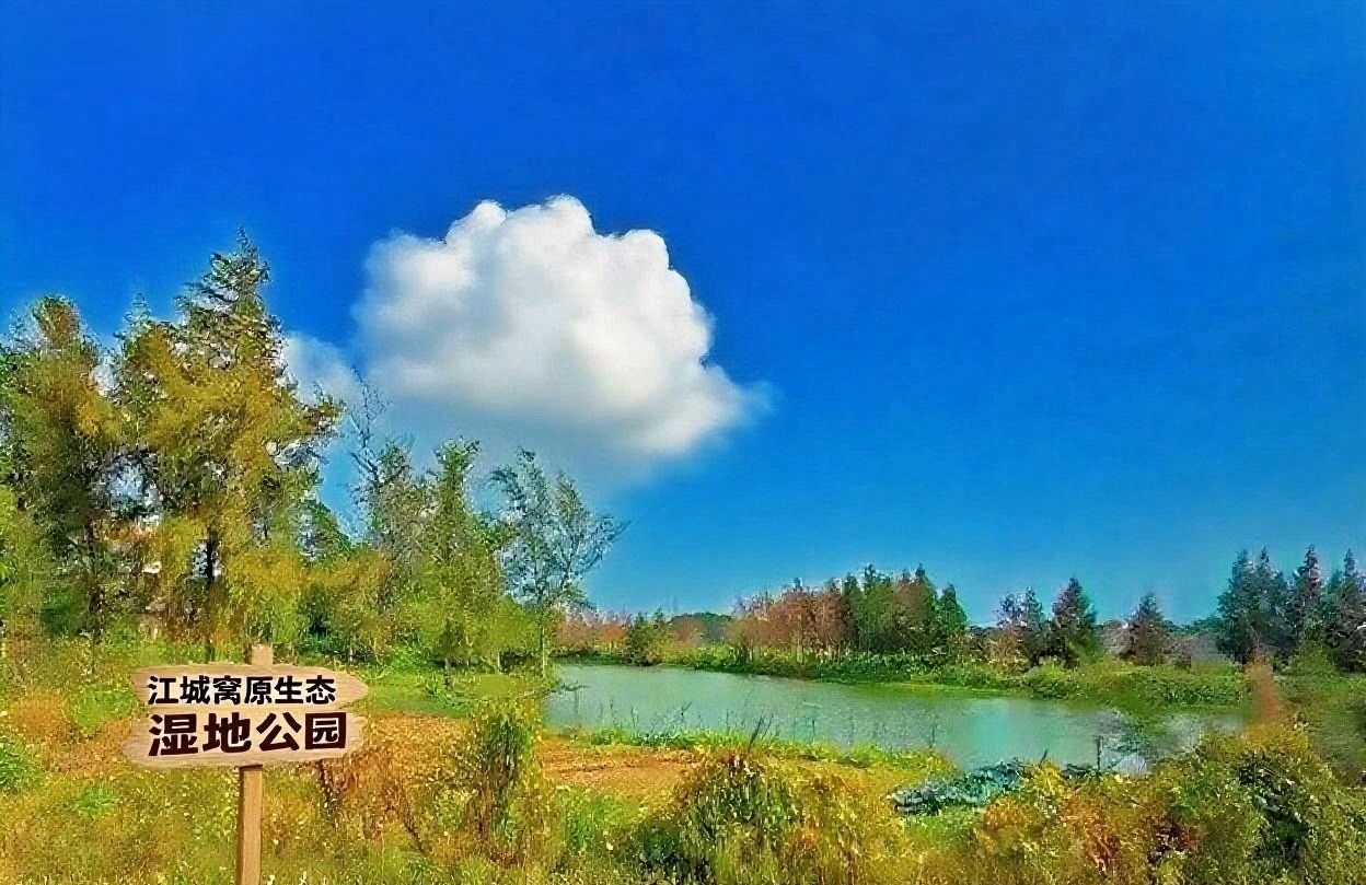 江城窝湿地原生态风景区