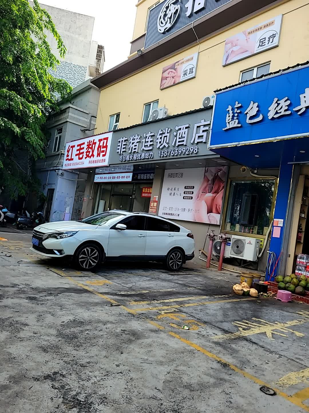 红毛数码