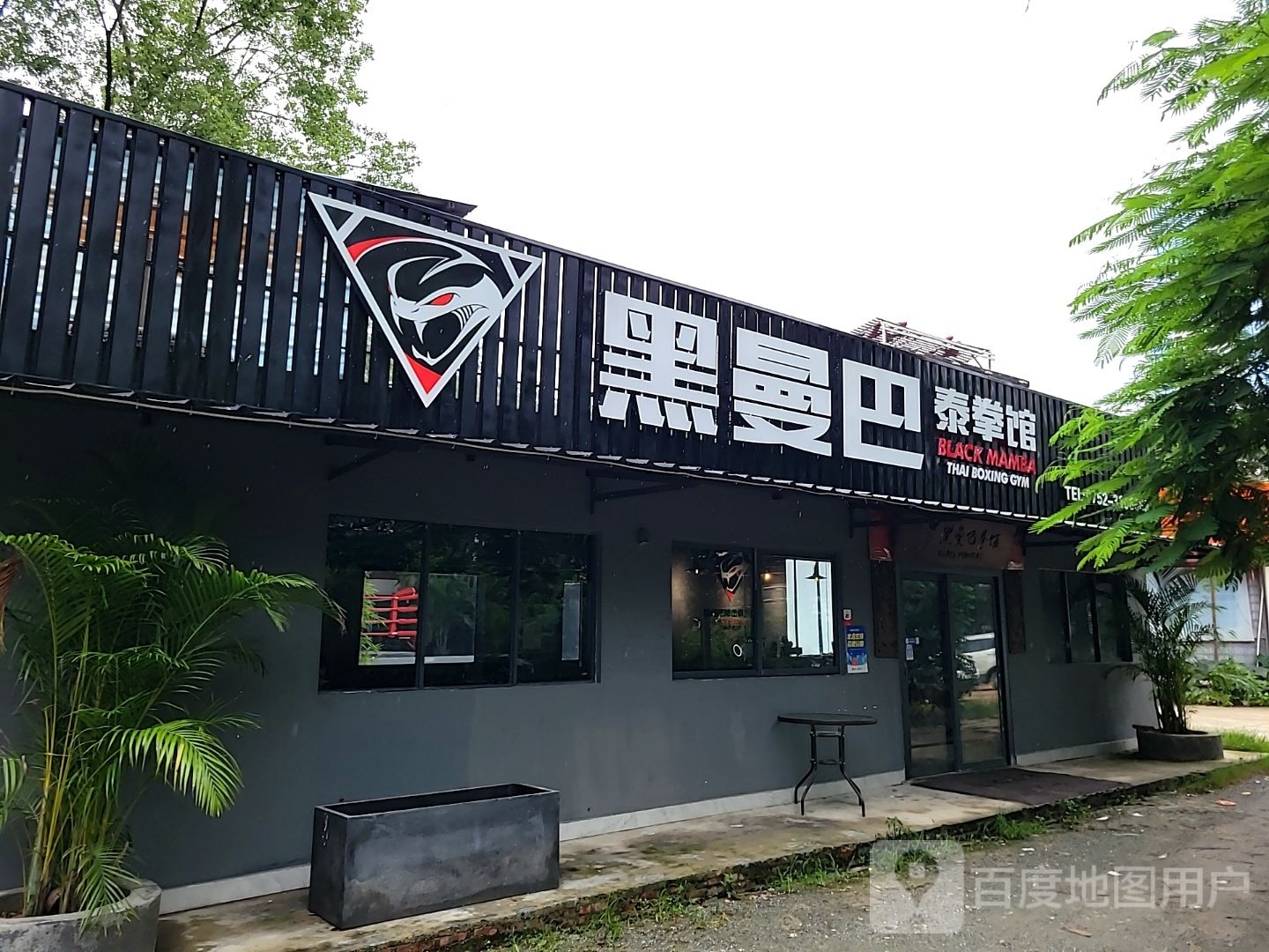 黑曼巴搏击俱乐部