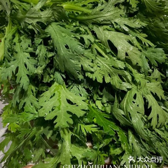 正宗贵i州牛肉火锅