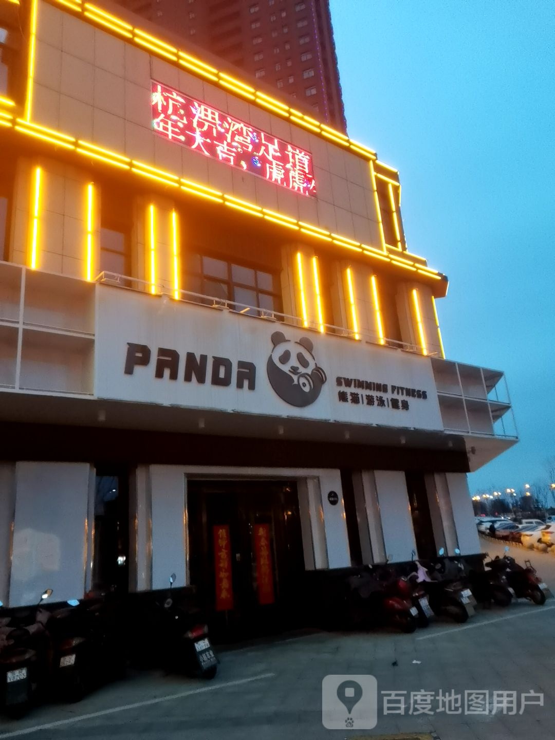 熊猫游泳建身