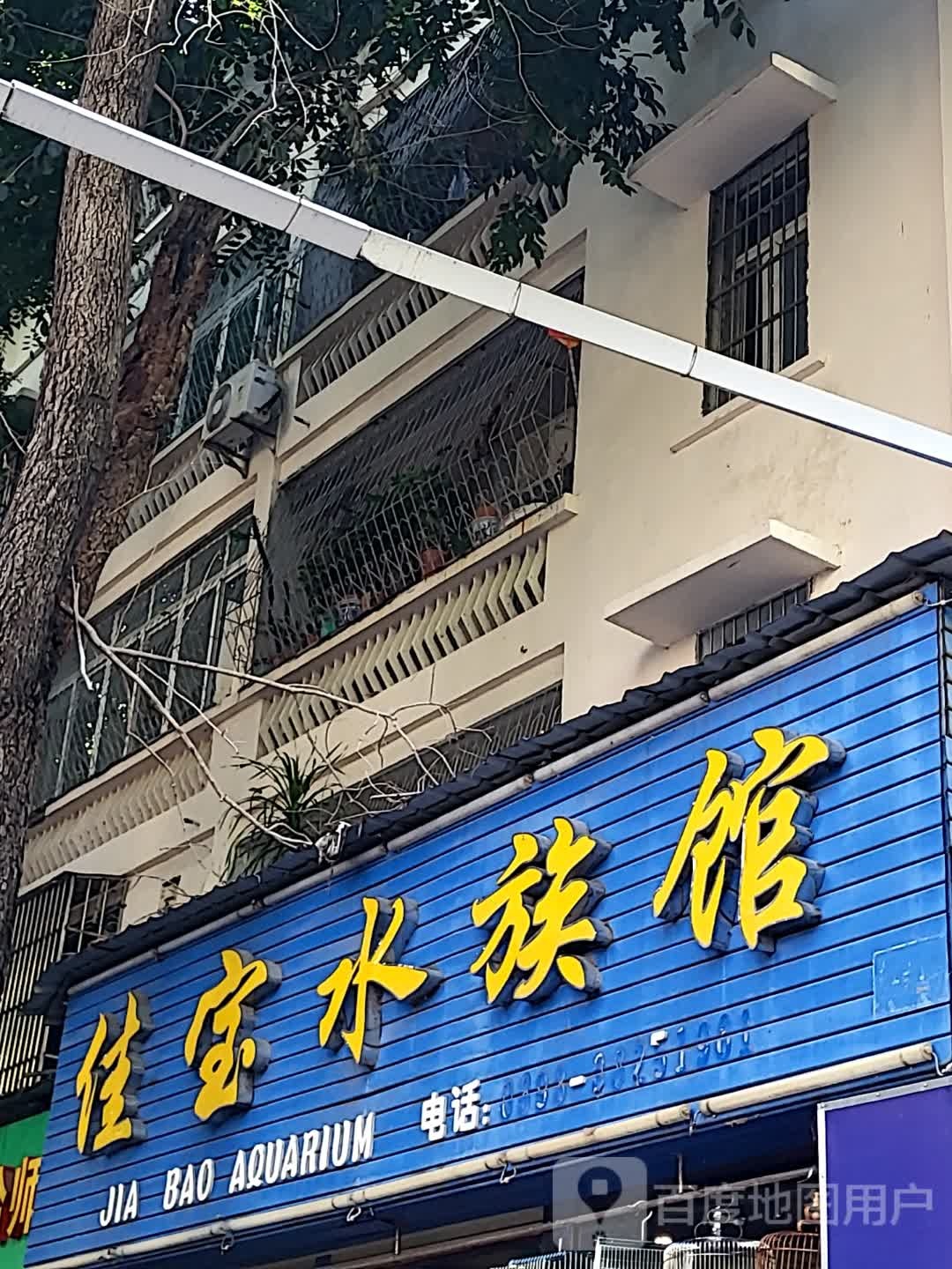 佳宝水族馆(金润广场店)