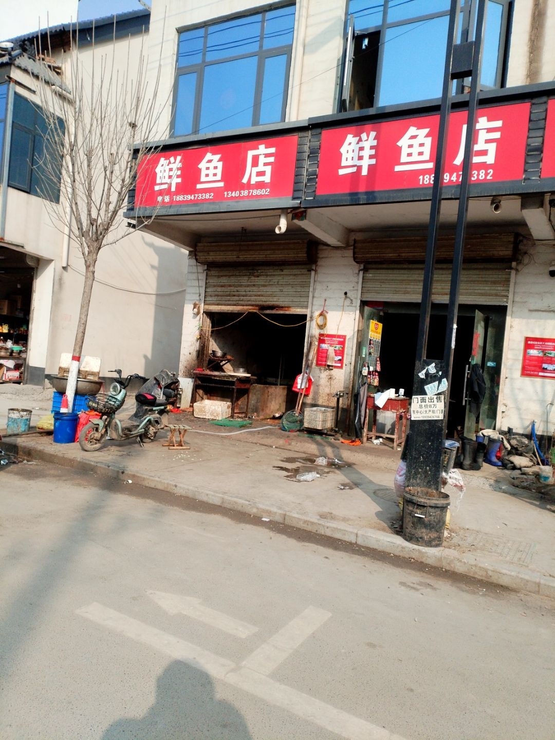 鲜鱼店