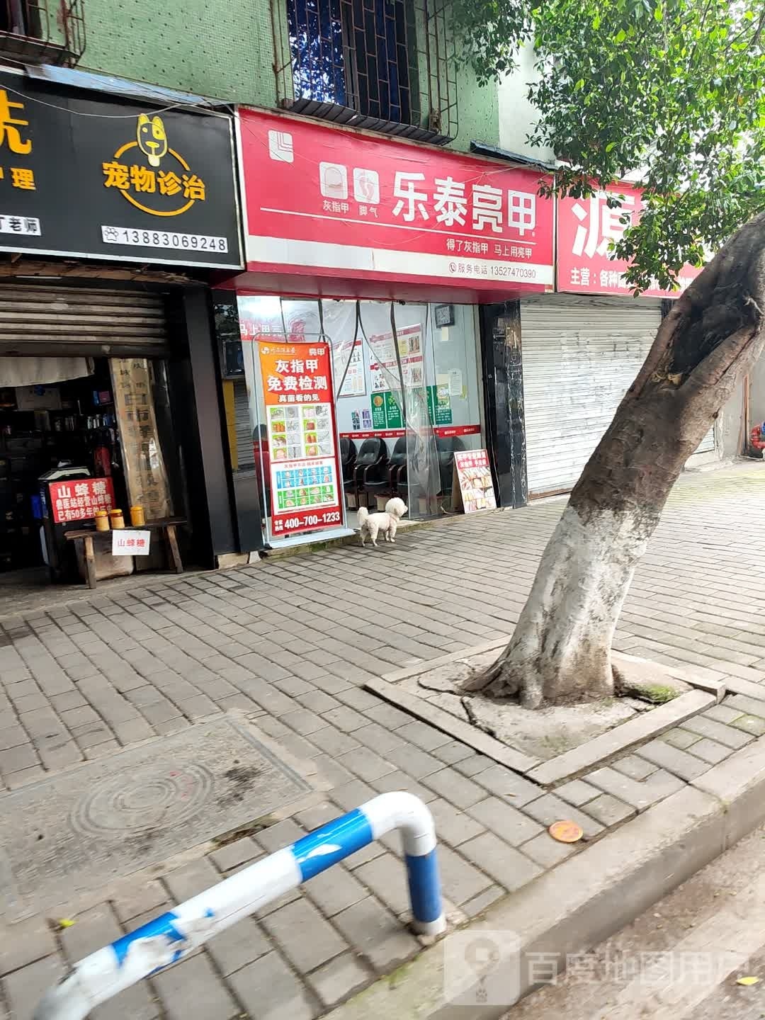 乐乐亮甲(长征北路店)