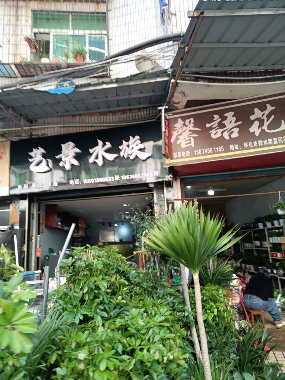 艺景水族