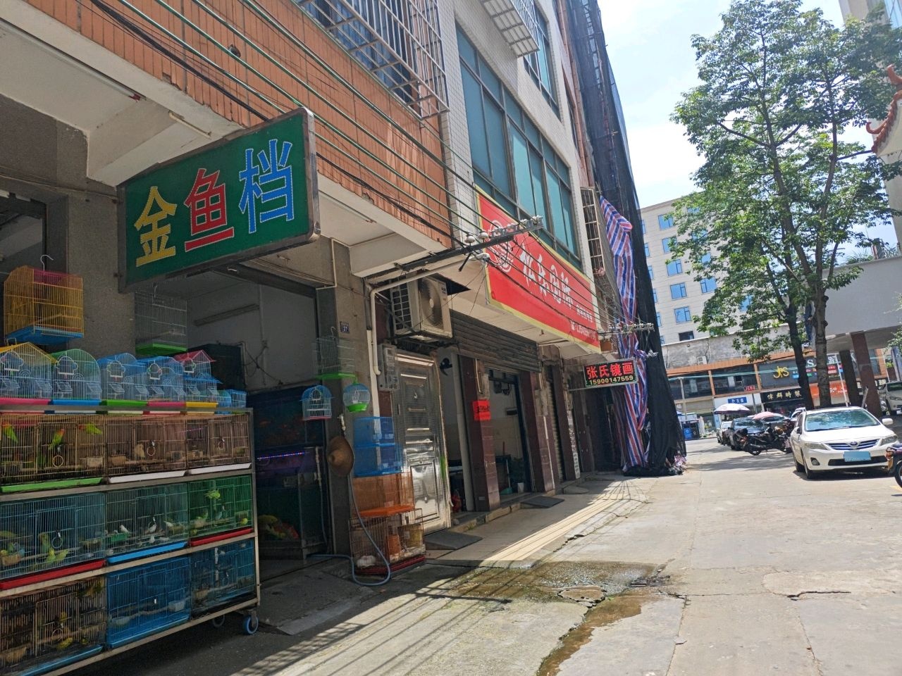 金鱼档