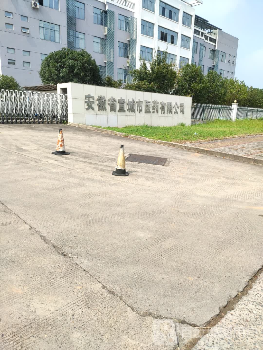 安徽省宜城市医药有限公司