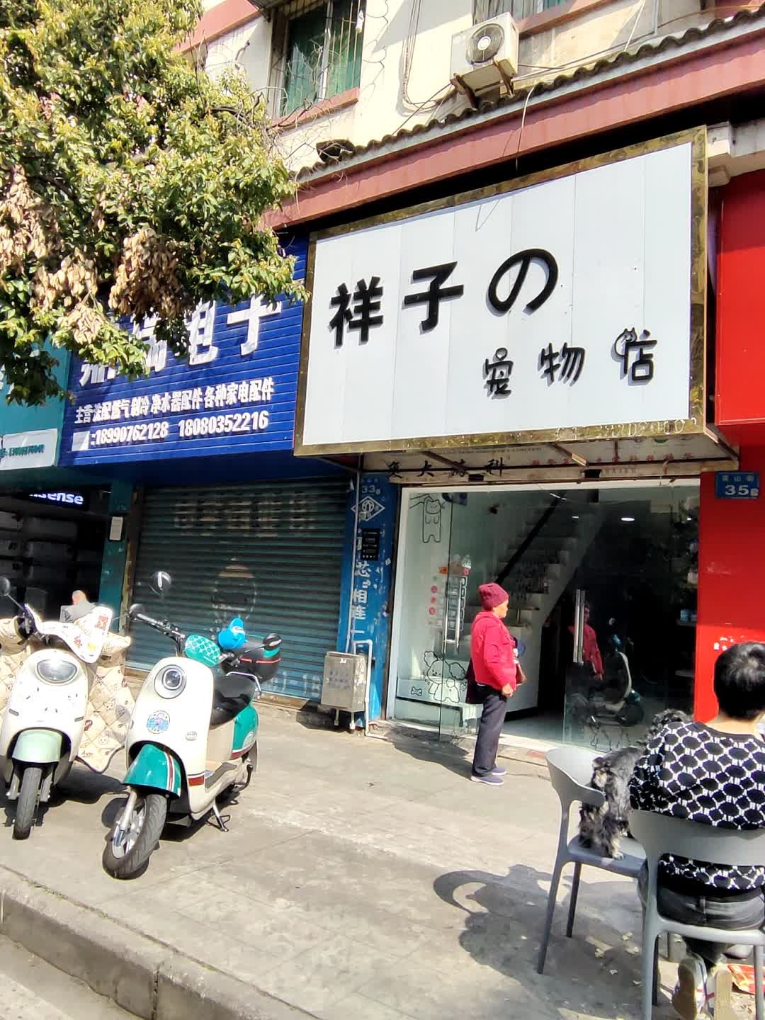 祥子的宠物店