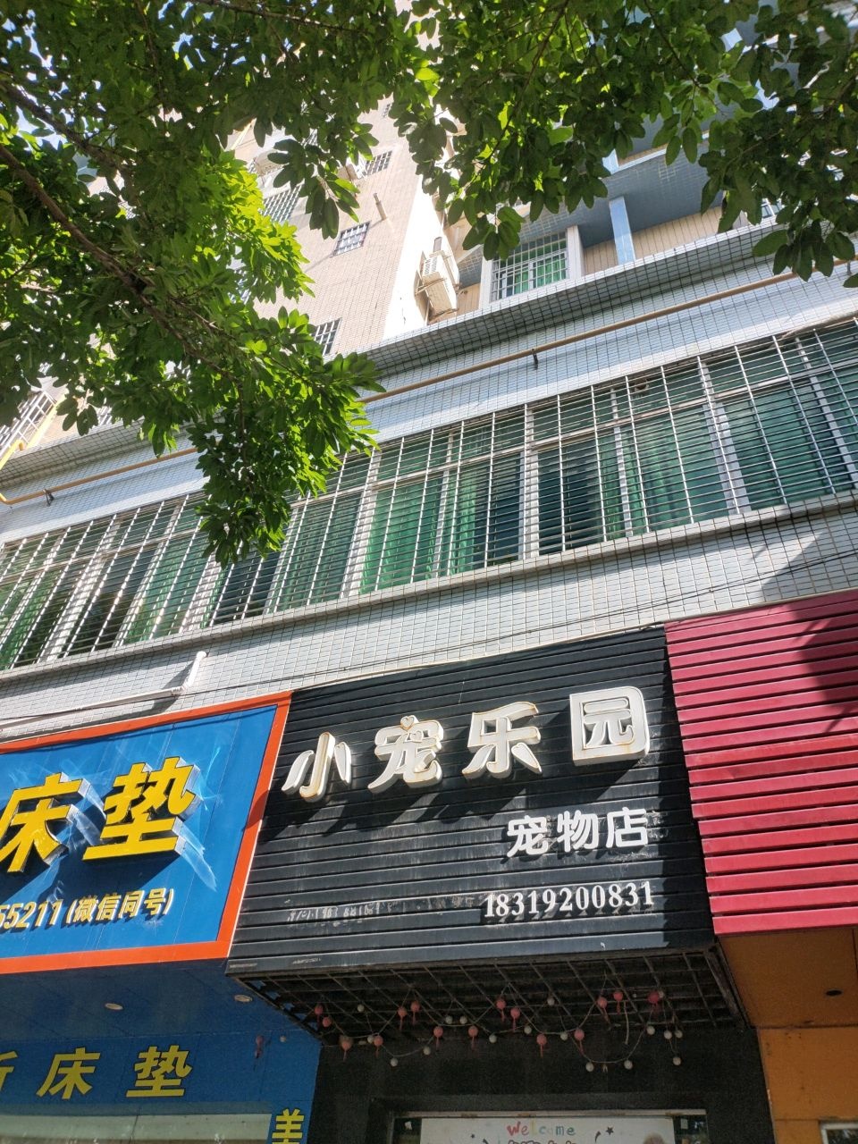 小宠乐园(官山五路店)
