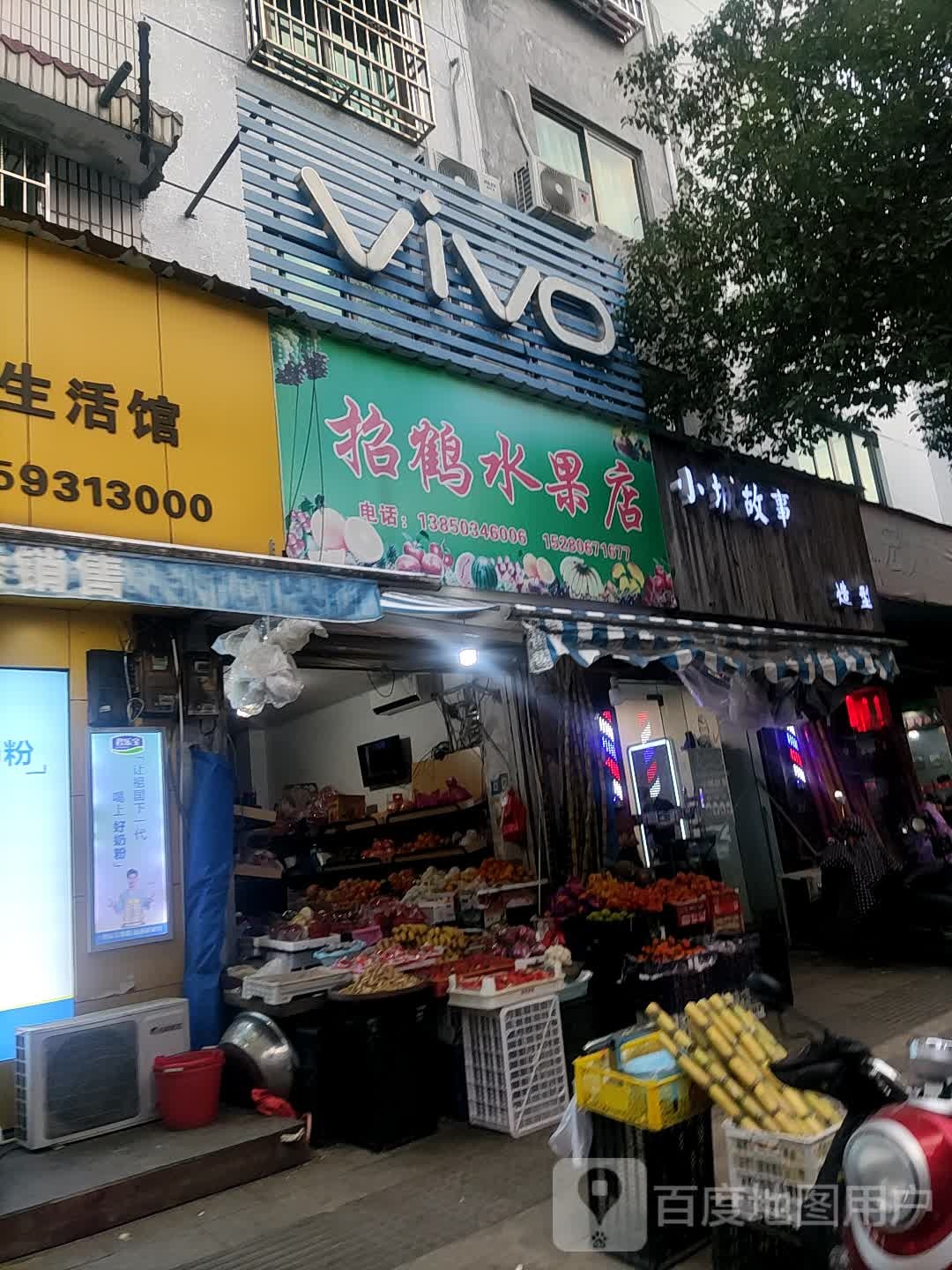 招鹤水果店