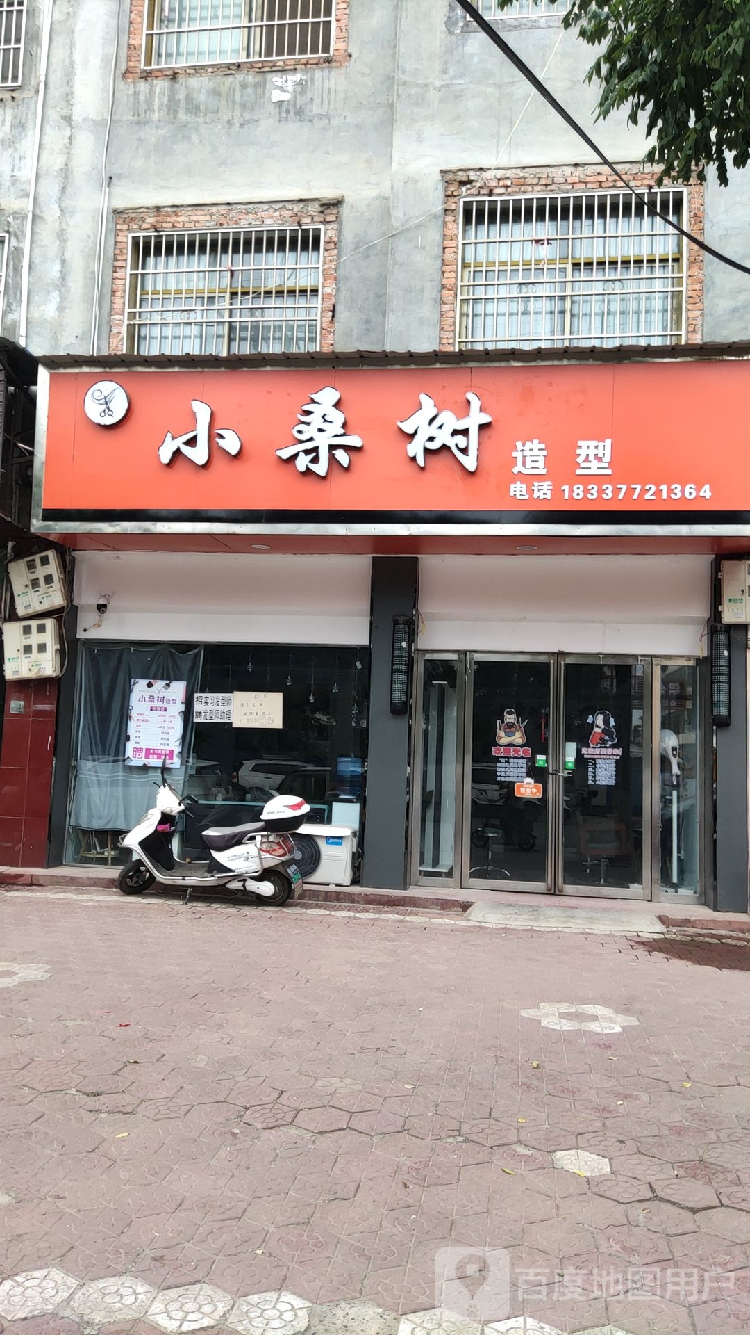 内乡县小桑树造型(郦都大道店)