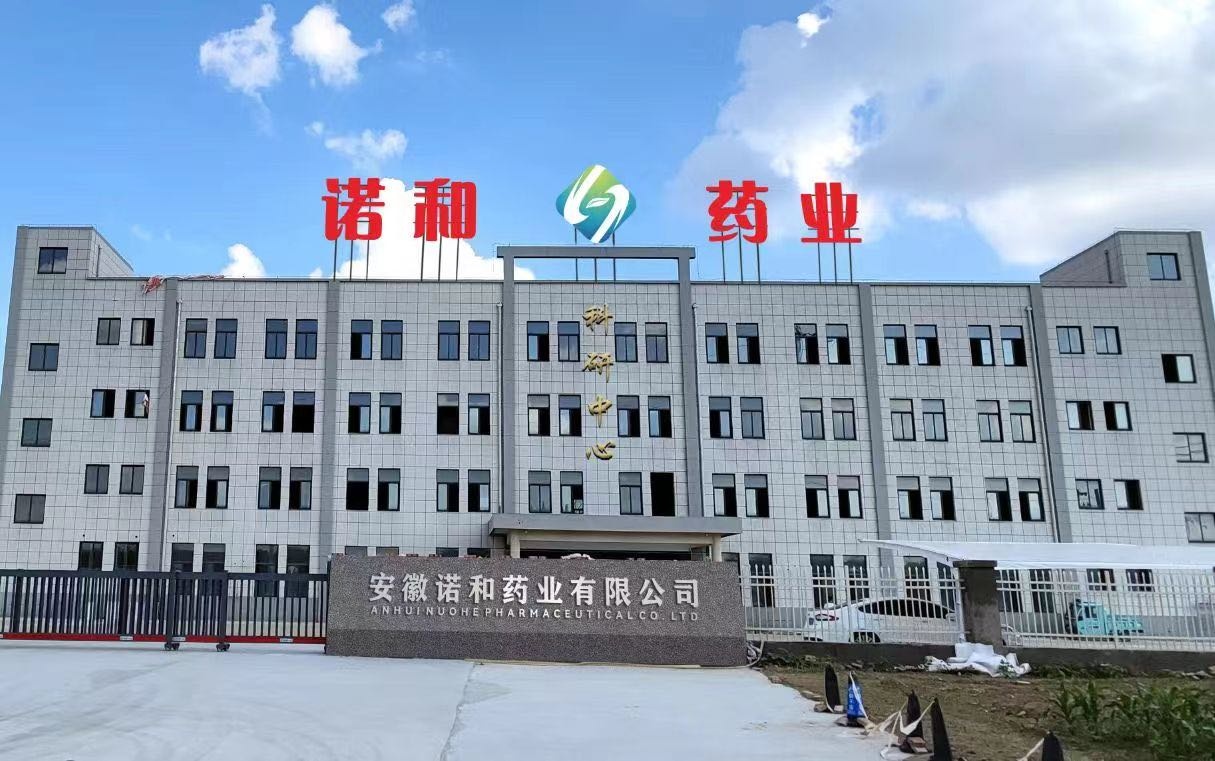 安徽诺和药业有限公司