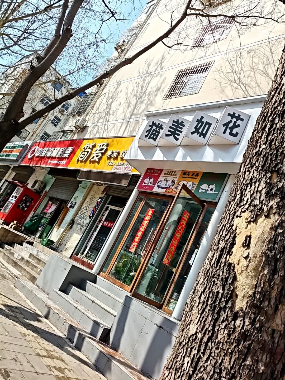 猫美如花(学院新居店)