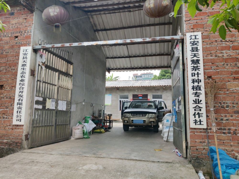 江安县天慧茶叶种植专业合作社