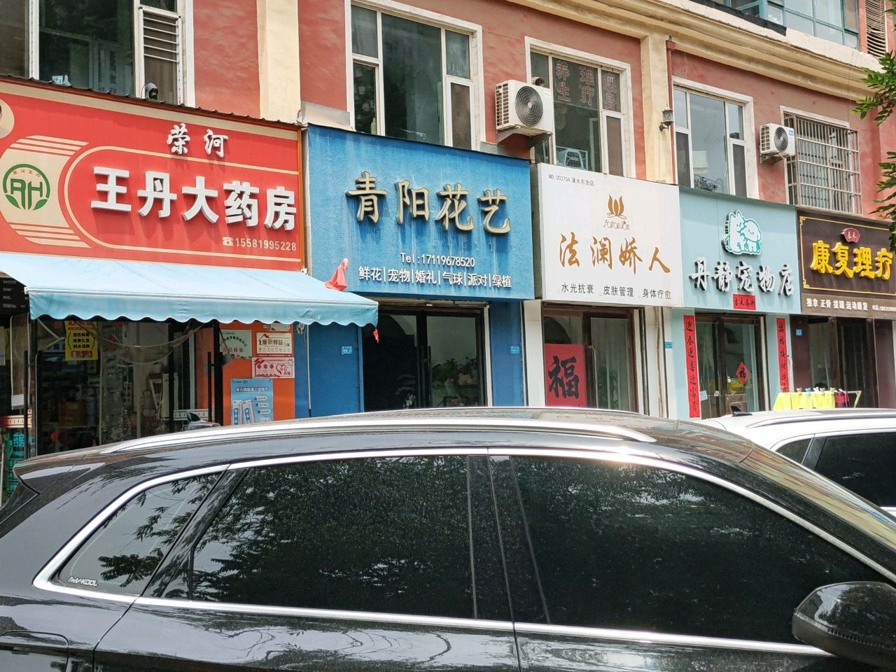 丹静宠物店