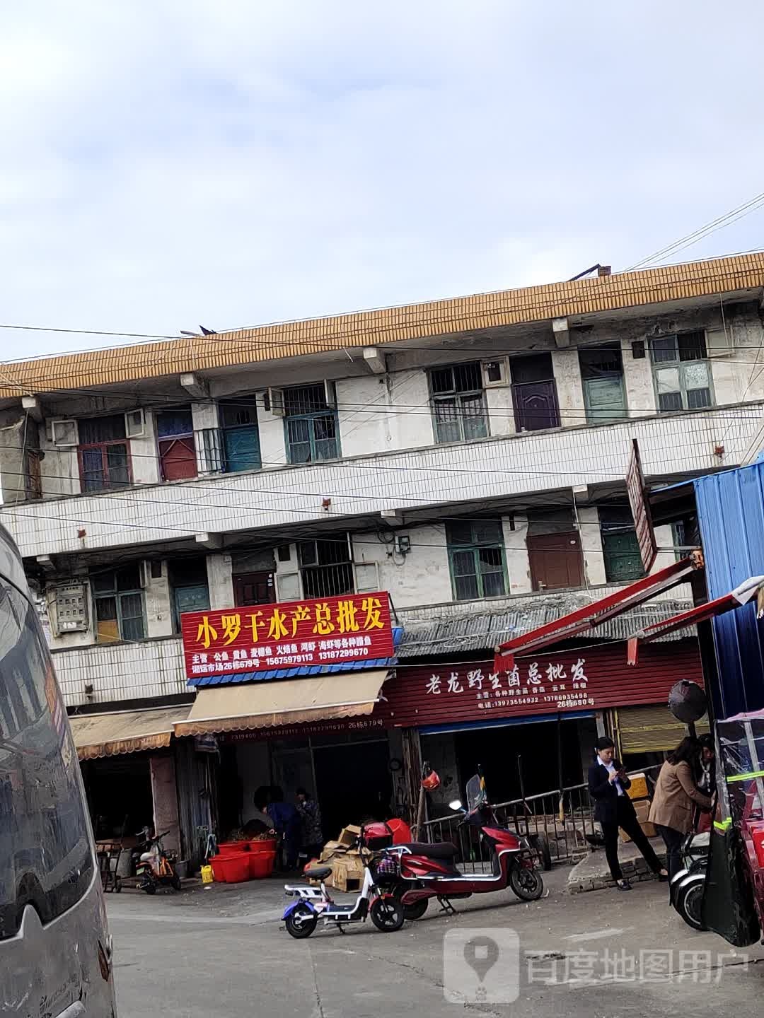 罗黄焖干水产总批发