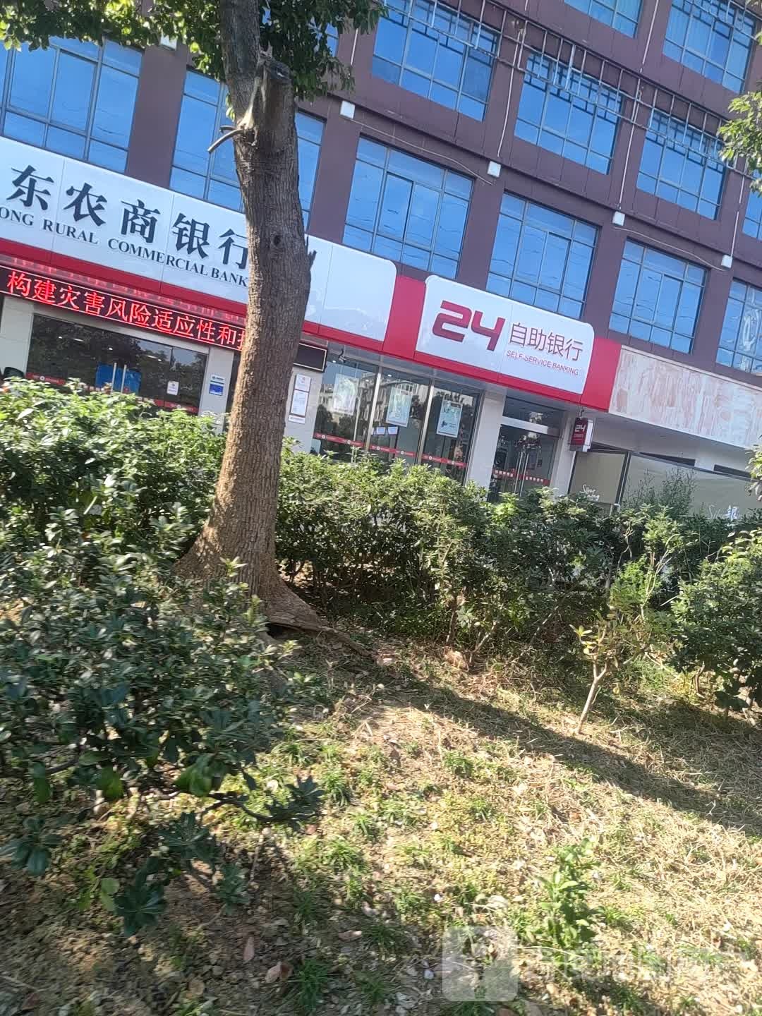 皖东农业商业银行(丽景支行)